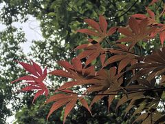 -龙头寺公园