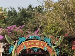 -瑞丽独树成林风景区