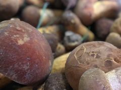 -双喜农庄·菌香园(安居家园店)