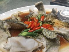 -聚福宝合苑食府(南头镇店)