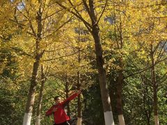 -南溪山景区