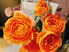 -Tomacado花厨(One ITC店)