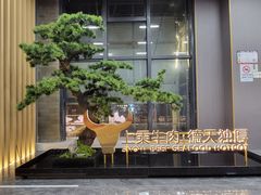 -德天雪花肥牛海鲜火锅(南苑东路店)