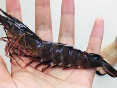 -微海海鲜加工店(第一市场店)