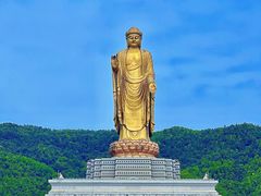 -中原大佛景区
