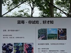 -金谷域澳洲庄园