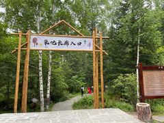 -汤旺河林海奇石景区
