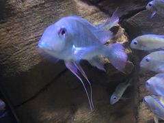 -成都浩海立方海洋公园