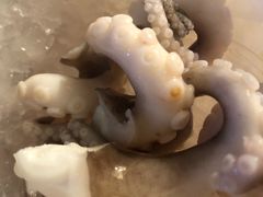 -铭聚章鱼土笋冻(松柏店)