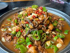 老街炒鸡加野蘑菇-侯志伟老街炒鸡(广济街店)