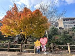 -溪口-滕头旅游景区