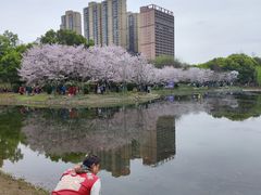 -堤角公园