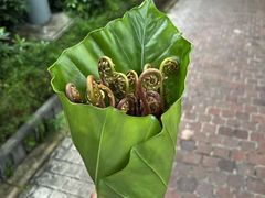 -深圳东部华侨城茵特拉根酒店