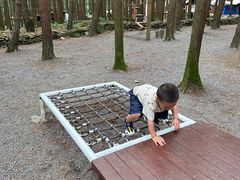 -重庆睡佛山森林公园
