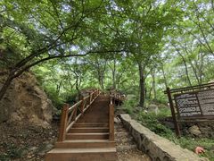 -大岭沟猕猴桃谷风景区