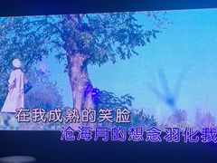 -魅KTV·AI辅唱(人民广场旗舰店)