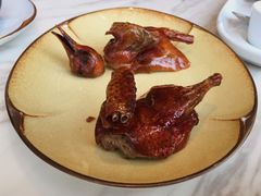 脆皮妙龄鸽-新荣记(新源南路店)