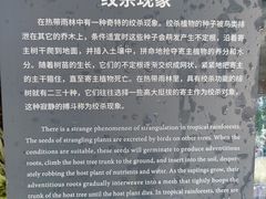 -北京植物园-展览温室
