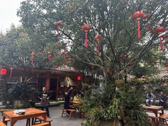 -青城甲(青城山店)