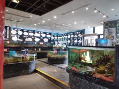 -寻味顺德·珍之宝酒楼(银钻店)