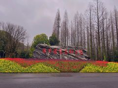 -东平国家森林公园