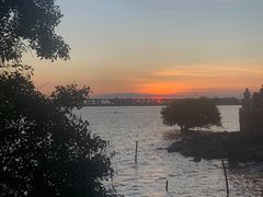 -宝安西湾红树林湿地公园