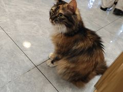 -雪月花(长江北路店)