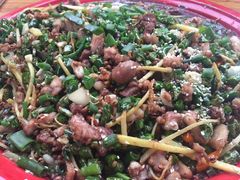 -东吴霸王兔(松青路店)