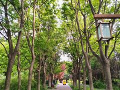 -洛阳市隋唐城遗址植物园