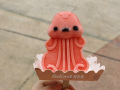 -上海海昌海洋公园