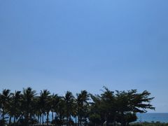 -亚龙湾红树林度假酒店-韩轩韩餐厅