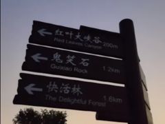-鬼笑石后山停车场