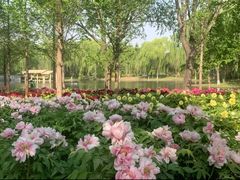 -石家庄市植物园