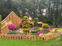 -上海共青森林公园