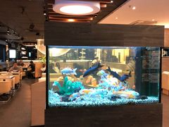 -大家乐(东莞虎门店)