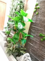 -芳朵美容养生SPA