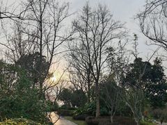 -雅达·阳羡溪山小镇中心