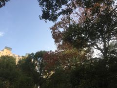 -新江湾城公园