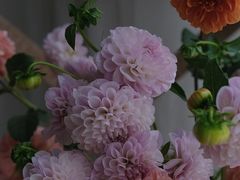 -花邻FloweringLife花艺气球派对(武康大楼店)