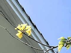 -云洞岩风景区