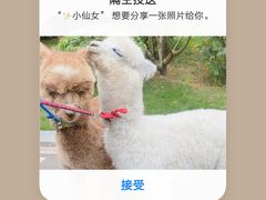-南宁荔园维景国际酒店·荔园中餐厅