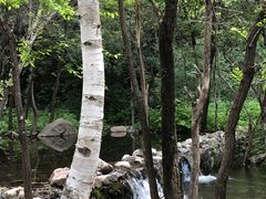 -玉渡山自然风景区