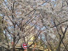 -杨高南路(地铁站)