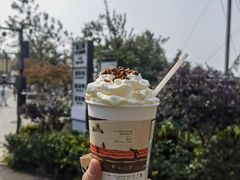 -茶颜悦色(岳麓山顶店)
