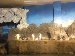 -成都浩海立方海洋公园