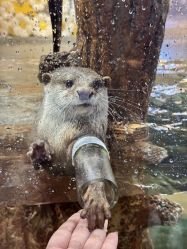 -Zoolung Zoolung动物主题公园(海信广场店)