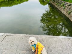 -西溪南古村落