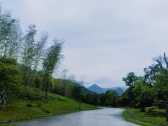 -九华山风景区