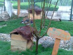 -陕西自然博物馆