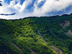 -牛背梁国家森林公园